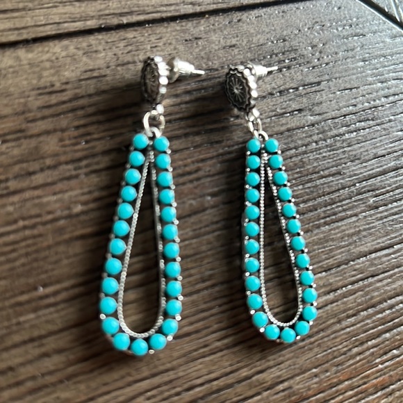 Water Drop Women’s Earrings - Picture 6 of 6